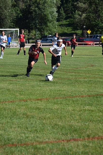 入两将应对 入两将应对