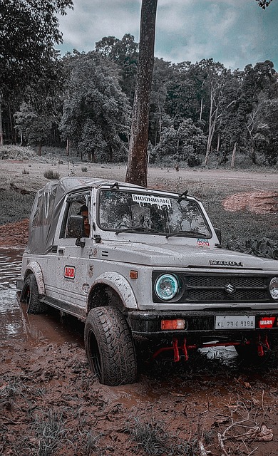 一篇成功的 一篇成功的