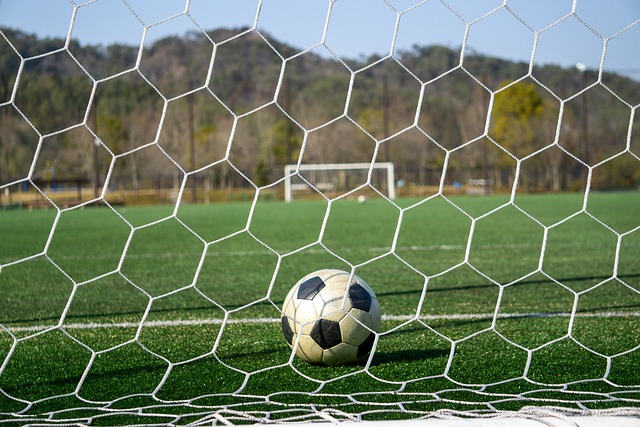 羅斯世界杯 羅斯世界杯