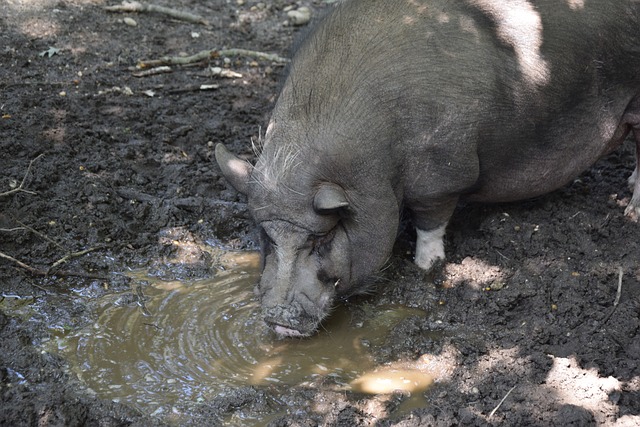 破或者傳球 破或者傳球