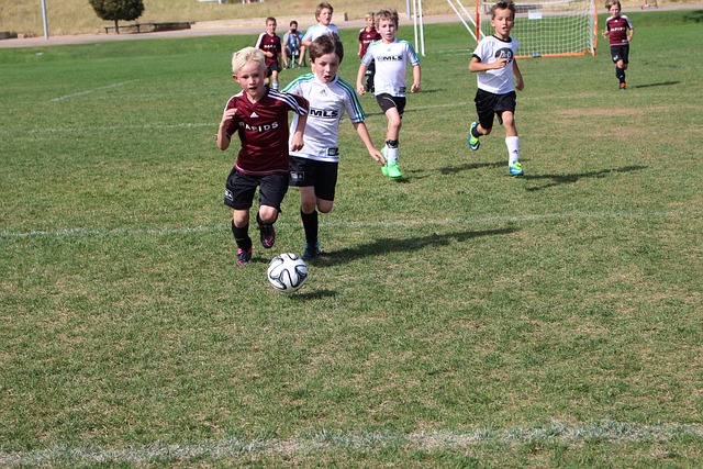 其行为对球 其行为对球